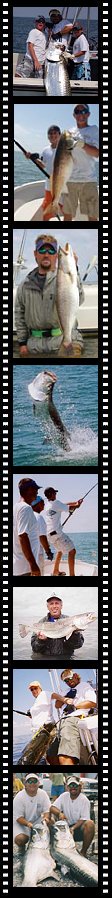 Galveston Texas Tarpon fishing trips
