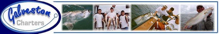 Silver King Adventures, Galveston Tarpon fishing charters