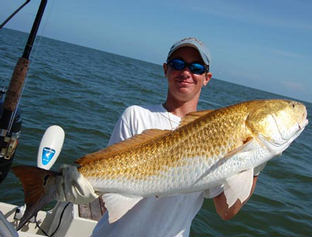 Bull redfishing trips