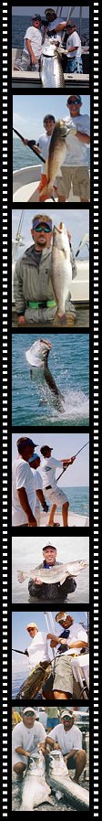 Galveston Texas Tarpon fishing trips