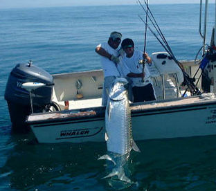  Tarpon fishing at Galveston Texas is the BEST!